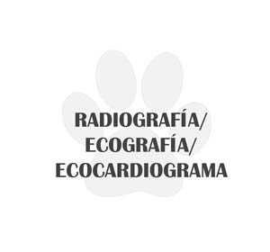 icono radiografía, ecocardiograma, ecografía