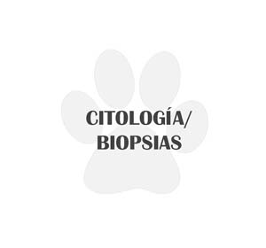 icono biopsias