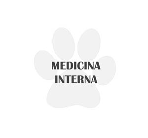 icono medicina interna