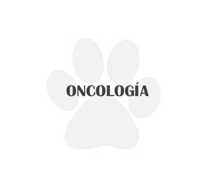 icono oncología