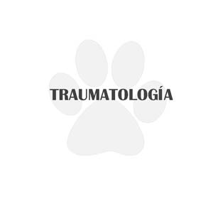 icono traumatología